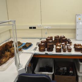 2013-14 Cans and artefacts in the Conservation lab, Scott Base (001)