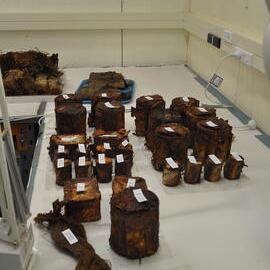 2013-14 Cans and artefacts in the Conservation lab, Scott Base (002)