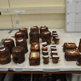 2013-14 Cans and artefacts in the Conservation lab, Scott Base (003)