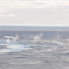 2013-14 Whales spotted in holes in the ice