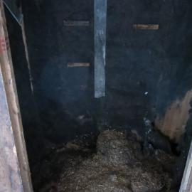 2013-14 Location image, loose chaff, Scott's 'Discovery' hut, Hut Point