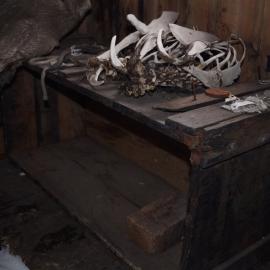 2013-14 Location image, Emperor penguin skeletons, Scott's 'Discovery' hut, Hut Point