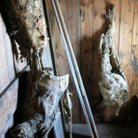 2013-14 Location image, Mutton carcasses, Scott's 'Discovery' hut, Hut Point (003)
