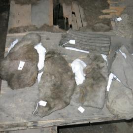 2013-14 Location image, artefacts on sleeping platform, Scott's 'Discovery' hut, Hut Point (003)