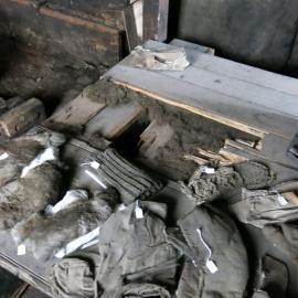 2013-14 Location image, artefacts on sleeping platform, Scott's 'Discovery' hut, Hut Point (008)