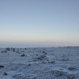 2013-14 Icy landscape (001)