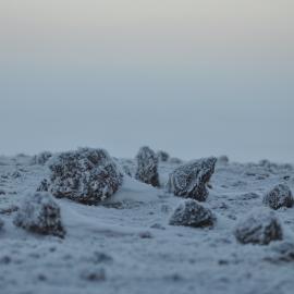 2013-14 Icy landscape (002)