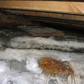 2005-06 Artefacts found under the floor of Shackleton's 'Nimrod' hut, Cape Royds (002)