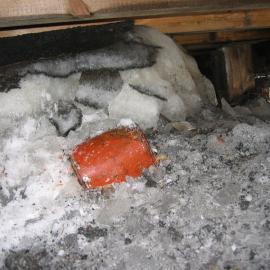 2005-06 Artefacts found under the floor of Shackleton's 'Nimrod' hut, Cape Royds (001)