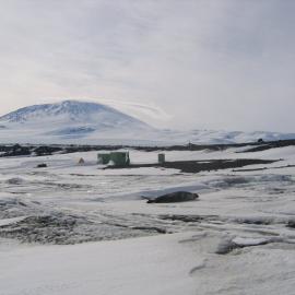 Weddell seal, Wannigans and Mount Erebus