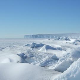 Barne Glacier (005)