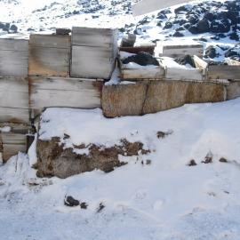 Garage on north side of Shackleton's 'Nimrod' hut (008)