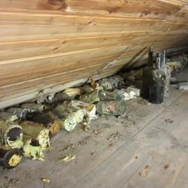 2015-16 Artefacts, Borchgrevink's Living hut (002)