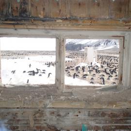 2015-16 Loft window, Borchgrevink's Living hut (024)