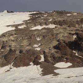 2015-16 Adélie penguins at Cape Adare (007)