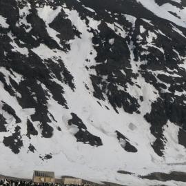 2015-16 Adélie penguins at Cape Adare (011)