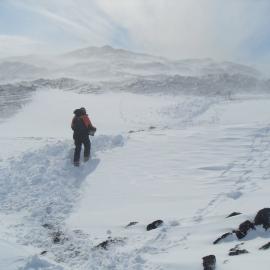2010-11 An AHT team member carrying a Venesta case, Cape Evans