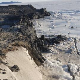 2010-11 Emperor penguins near Cape Royds