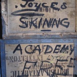 2010-11 "Joyce's SKINING ACADEMY FREE"