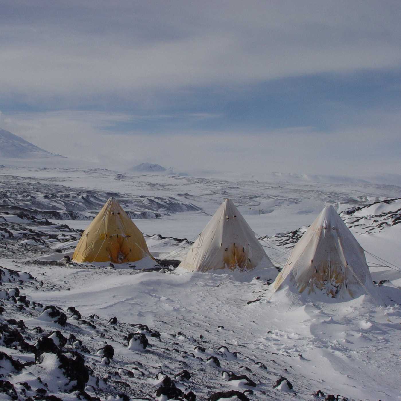 Life in Antarctica