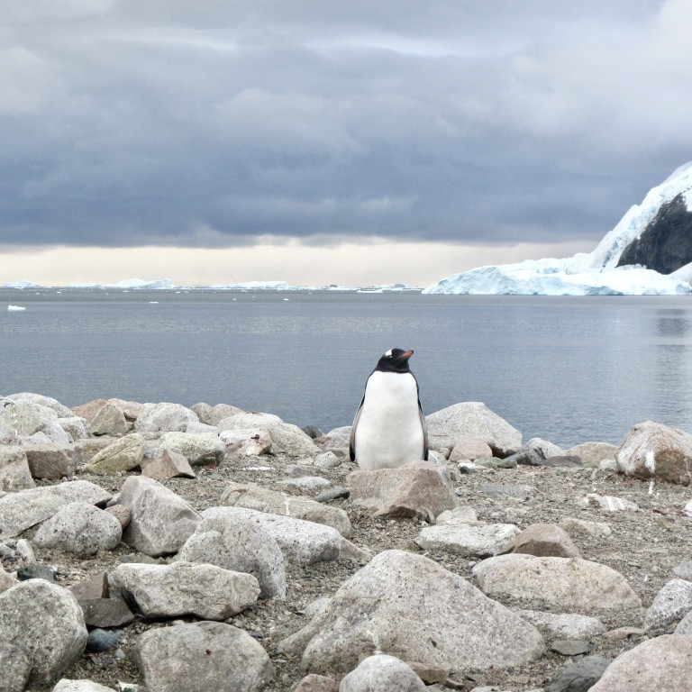 Landscapes & Wildlife