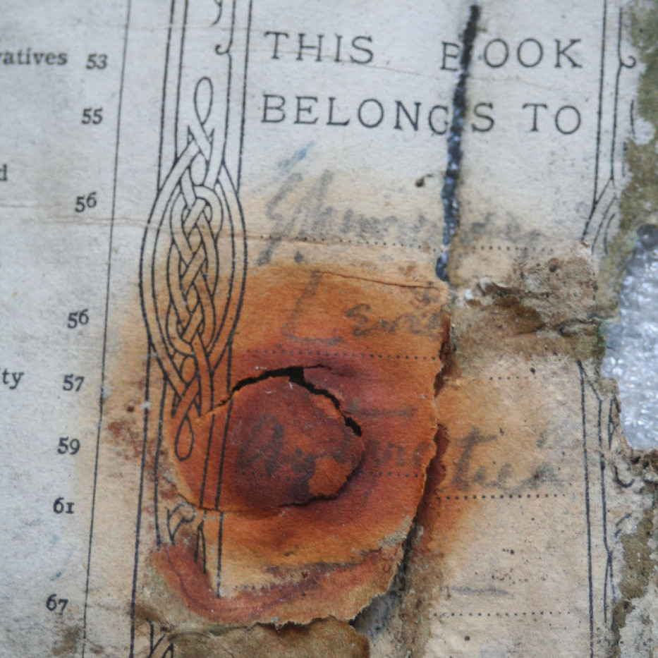 Famous Discoveries - Levick's Notebook