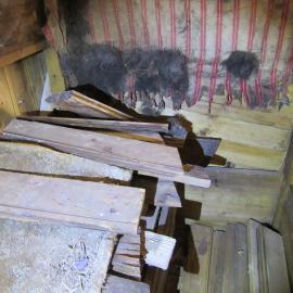 2015-16 Location image - Borchgrevink and Fougner's bunks, Borchgrevink's hut (031)