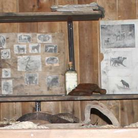 2016-17 'The Tenements' inside Scott's 'Terra Nova' hut, Cape Evans (001)