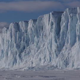 Barne Glacier (002)