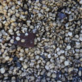 Southern food cache, Cape Evans (001)
