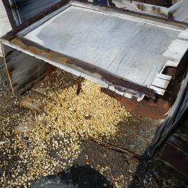 Southern food cache, Cape Evans (002)