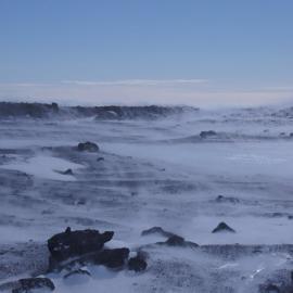 Landscape in windy conditions