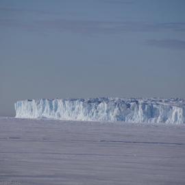 Barne Glacier (001)