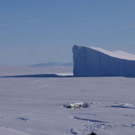 Iceberg