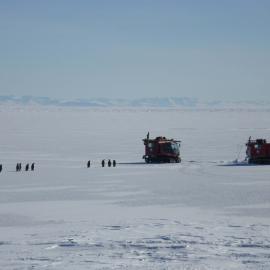 Emperor penguins and Hägglunds 