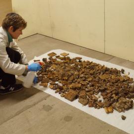 AHT Conservator Sue Bassett treating biscuits