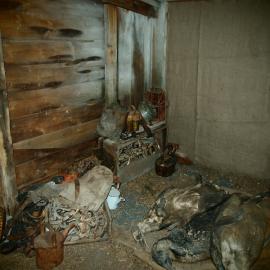 Penguin carcasses and artefacts at Scott's 'Terra Nova' hut (002)