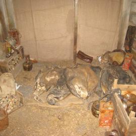 Penguin carcasses and artefacts at Scott's 'Terra Nova' hut (003)