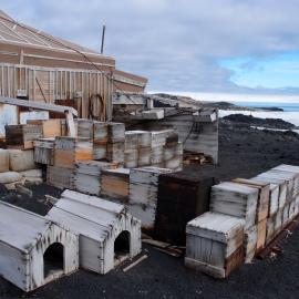 Garage and kennels, Shackleton's 'Nimrod' hut