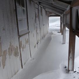 Scott's 'Discovery' hut, north wall