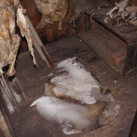 2013 Store in Scott's 'Discovery' hut