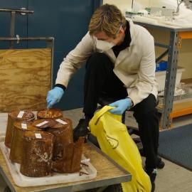 Lead Conservator Sue Bassett at work (001)