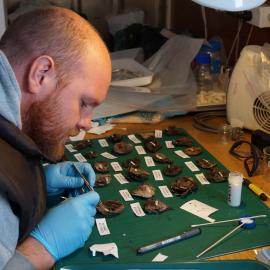 Conservator Stefan Strittmatter at work 