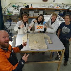500th artefact treatment for the season