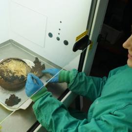Conservator Marie-Amande Coignard at work (005)