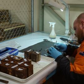 Conservator Stefan Strittmatter at work (001)
