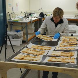 Lead Conservator Sue Bassett at work (002)
