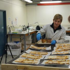 Lead Conservator Sue Bassett at work (003)