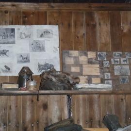 2010-11 Dog pictures above Oates' bunk, Cape Evans