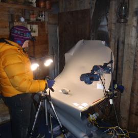 2010-11 Diana Komejan photographing artefacts inside Shackleton's 'Nimrod' hut
